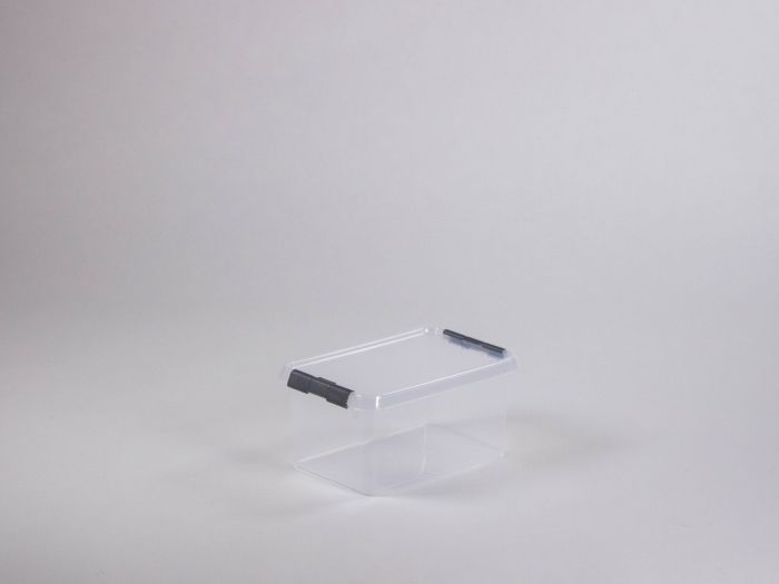 Transparante opbergbox 6 liter, 307x200x143 mm