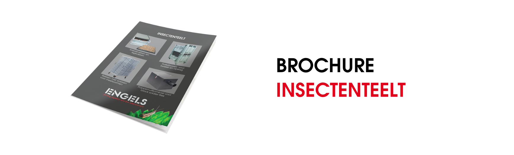 Insectenteelt