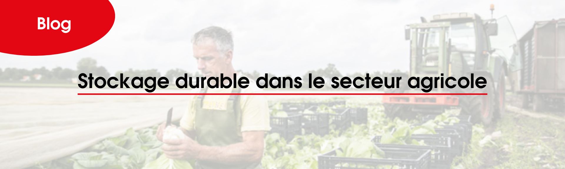 Les avantages des emballages en plastique dans le secteur agricole