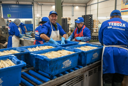 Asperge bakken Asperge bakken