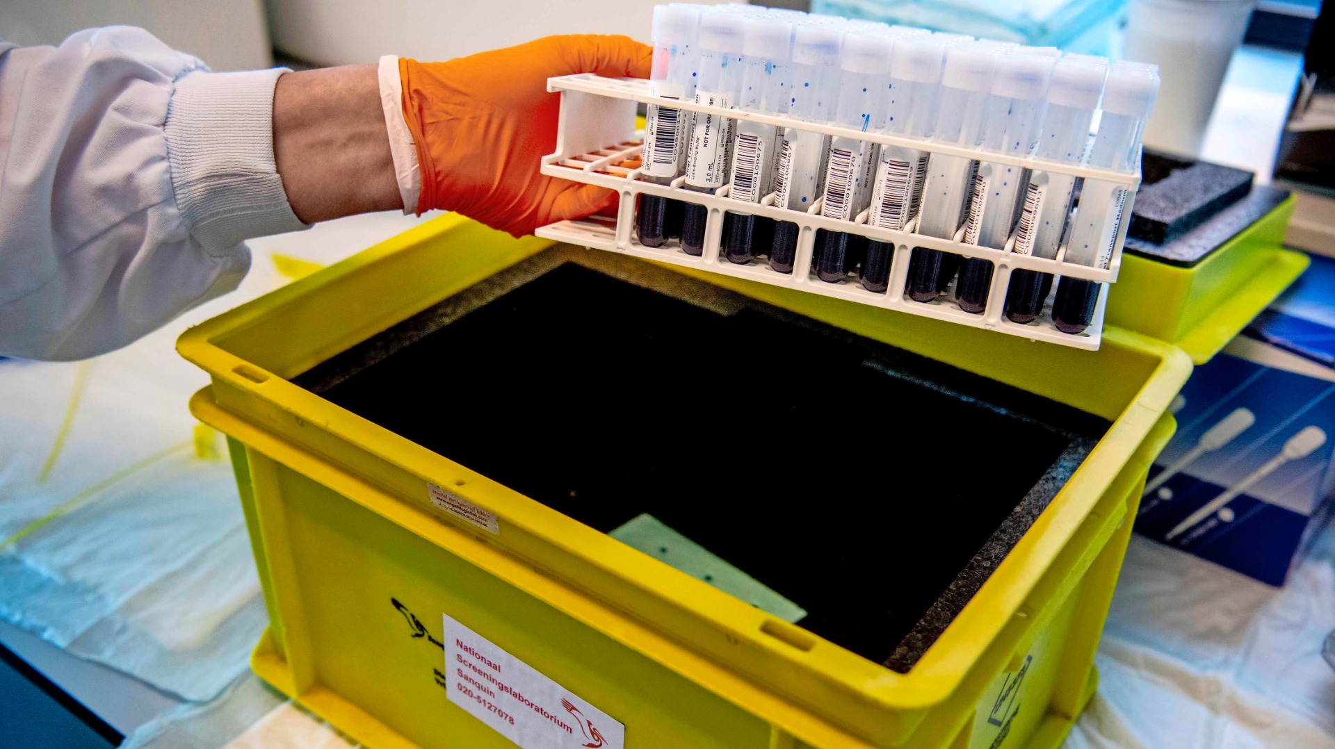 Sanquin-bloedbuizen-box